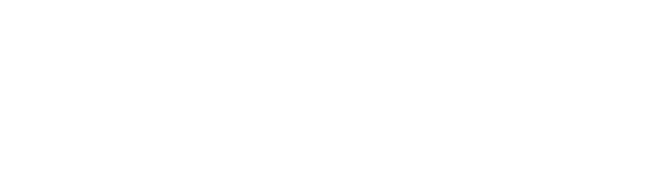 Logo da Nodus